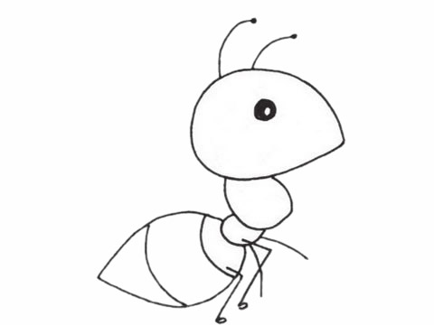 一組螞蟻簡筆畫圖片大全