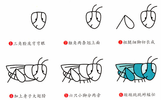 帶顏色的蚱蜢簡筆畫教程
