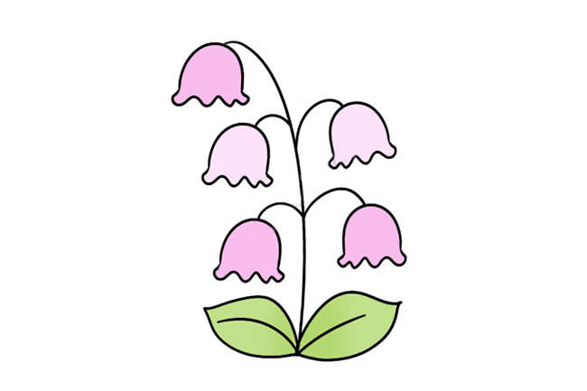 漂亮帶顏色的風(fēng)鈴花簡(jiǎn)筆畫