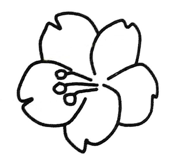 簡單的櫻花怎么畫