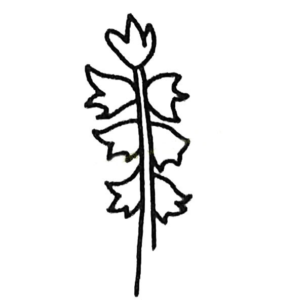 風(fēng)信子簡(jiǎn)筆畫(huà)步驟教程