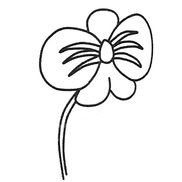 關(guān)于蝴蝶蘭的兒童簡筆畫