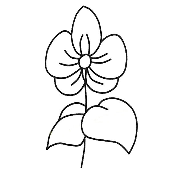簡(jiǎn)單的蝴蝶蘭怎么畫(huà) 簡(jiǎn)單的蝴蝶蘭怎么畫(huà)