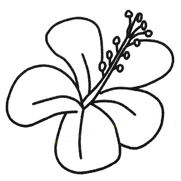 扶桑花幼兒簡(jiǎn)筆畫