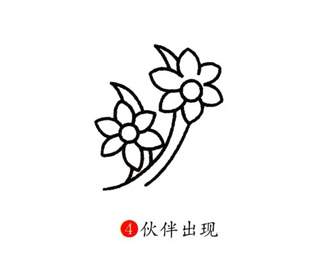 涂色的蘭花簡筆畫教程