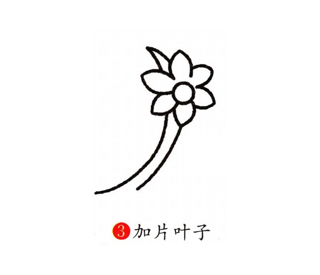 涂色的蘭花簡筆畫教程