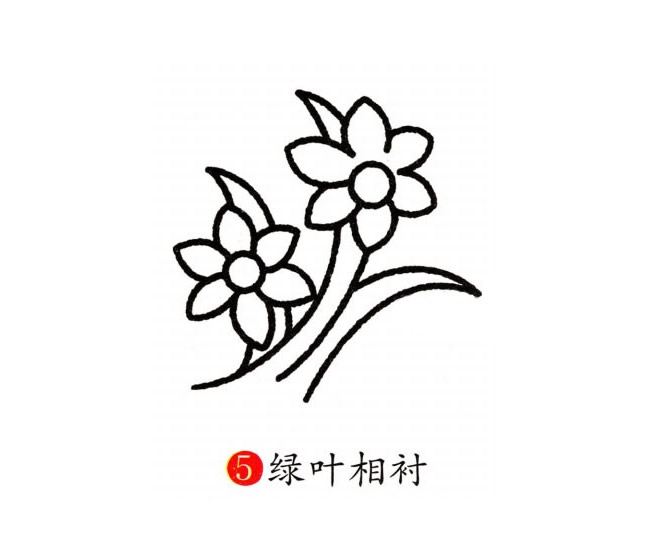 涂色的蘭花簡筆畫教程