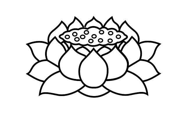 關(guān)于蓮蓬花的簡(jiǎn)筆畫 關(guān)于蓮蓬花的簡(jiǎn)筆畫