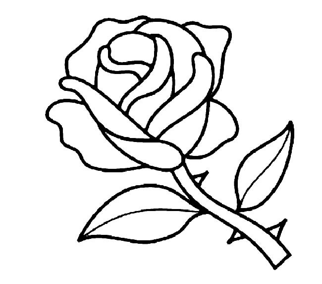 帶刺的玫瑰花簡(jiǎn)筆畫 帶刺的玫瑰花簡(jiǎn)筆畫