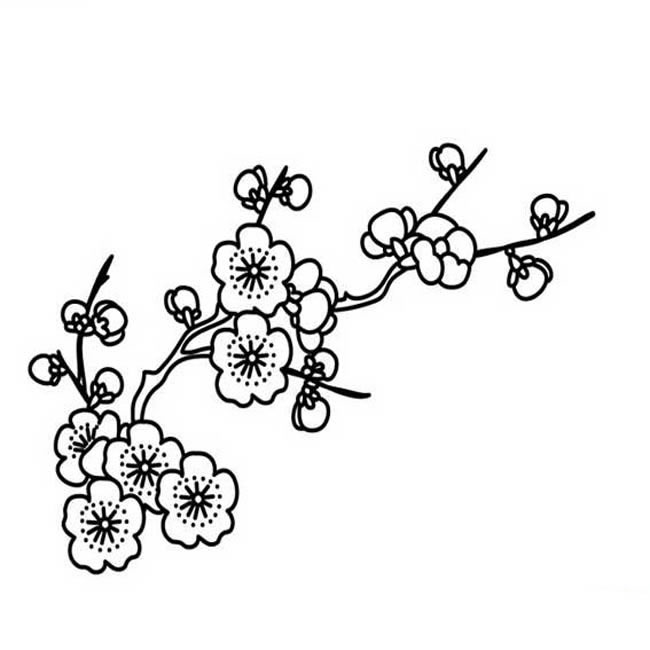 關于梅花的簡筆畫