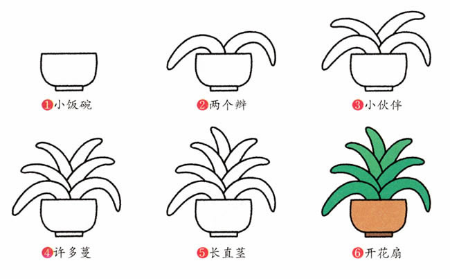 花盆里的君子蘭簡(jiǎn)筆畫 花盆里的君子蘭簡(jiǎn)筆畫
