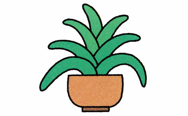 花盆里的君子蘭簡(jiǎn)筆畫 花盆里的君子蘭簡(jiǎn)筆畫