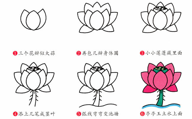 鮮艷涂色的荷花簡(jiǎn)筆畫(huà) 鮮艷涂色的荷花簡(jiǎn)筆畫(huà)