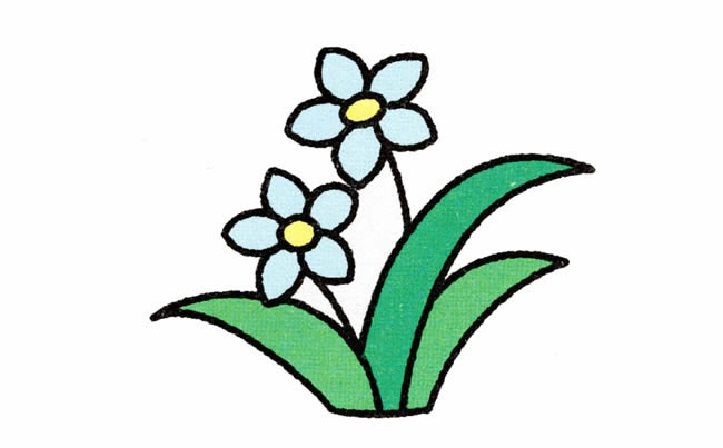 涂色的水仙花簡(jiǎn)筆畫教程 涂色的水仙花簡(jiǎn)筆畫教程