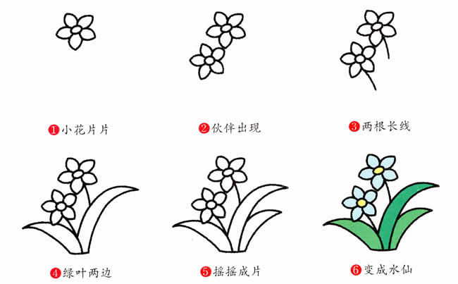 涂色的水仙花簡(jiǎn)筆畫教程 涂色的水仙花簡(jiǎn)筆畫教程