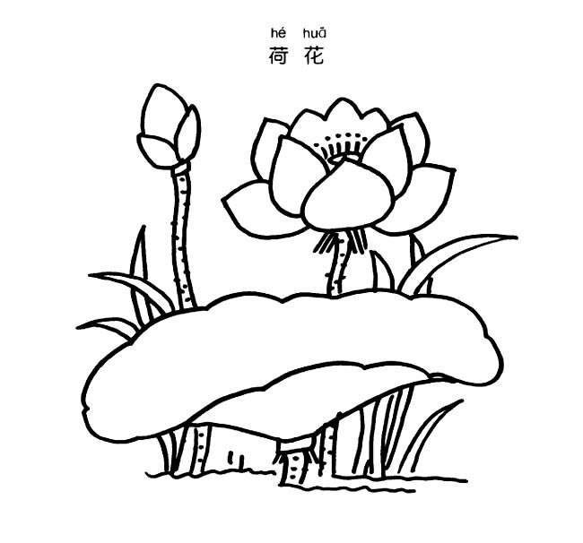 關于荷花的兒童簡筆畫