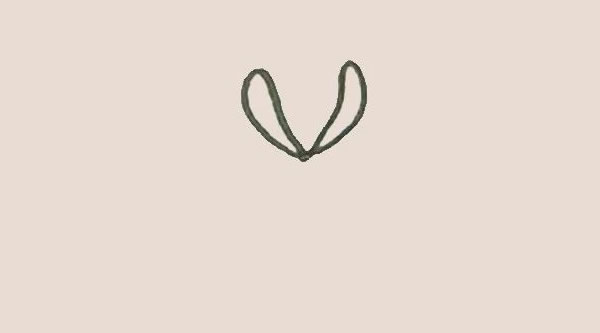 關(guān)于菊花的簡(jiǎn)筆畫