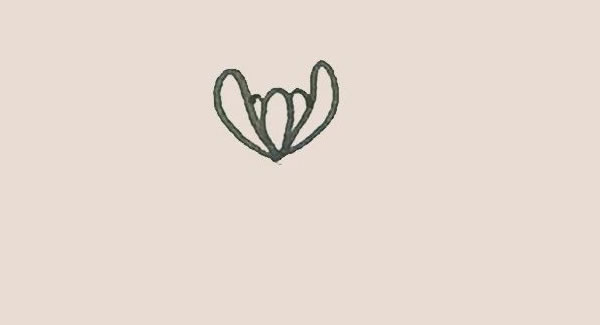 關(guān)于菊花的簡(jiǎn)筆畫