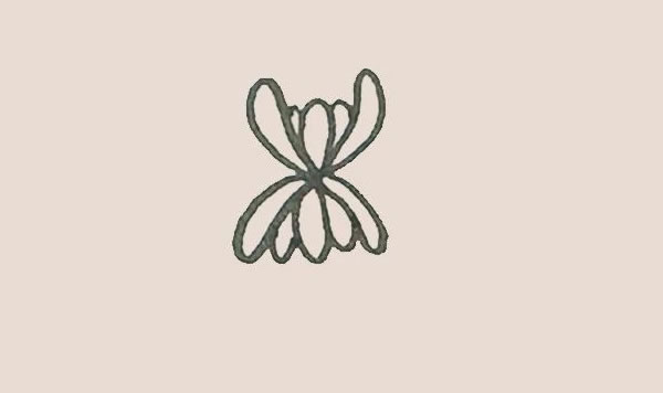 關(guān)于菊花的簡(jiǎn)筆畫