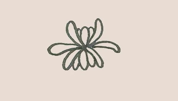 關(guān)于菊花的簡(jiǎn)筆畫