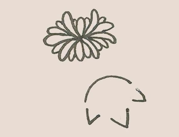 關(guān)于菊花的簡(jiǎn)筆畫