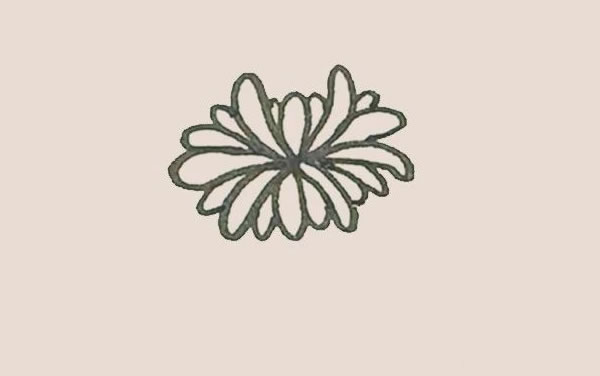 關(guān)于菊花的簡(jiǎn)筆畫