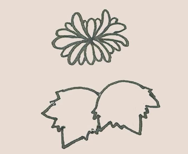 關(guān)于菊花的簡(jiǎn)筆畫