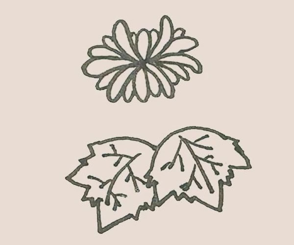 關(guān)于菊花的簡(jiǎn)筆畫