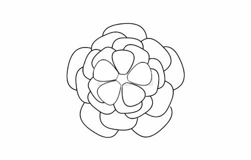 月季花簡筆畫步驟