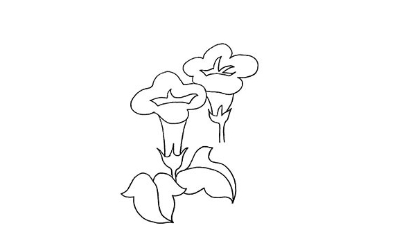 非常簡單的牽牛花簡筆畫