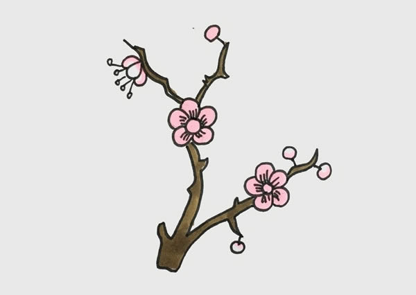樹枝上漂亮的梅花簡筆畫