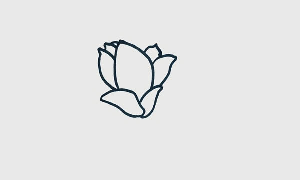 玉蘭花簡筆畫步驟