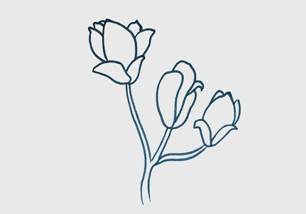 玉蘭花簡筆畫步驟