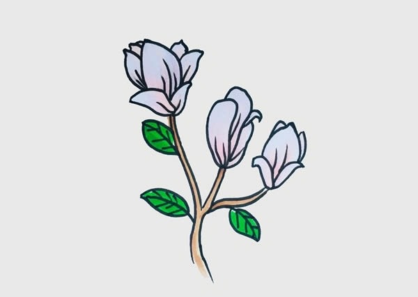 玉蘭花簡筆畫步驟