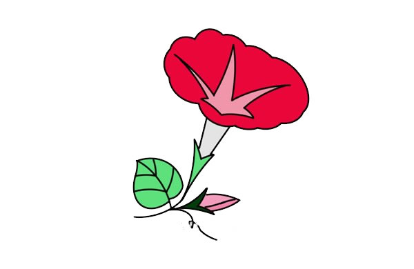 漂亮的牽牛花簡筆畫
