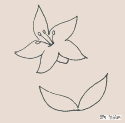 百合花簡筆畫