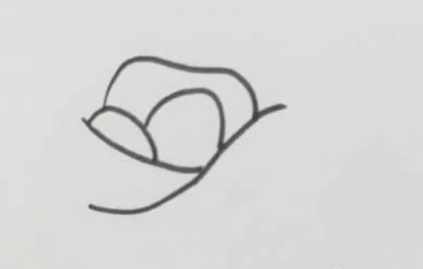 盛開的玫瑰花