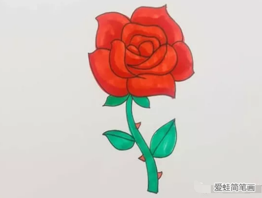 盛開的玫瑰花