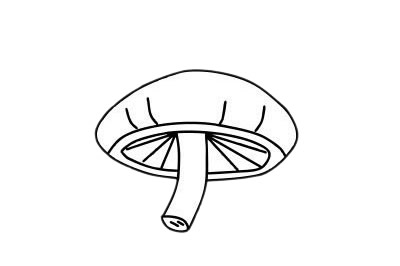 五款蘑菇兒童簡筆畫