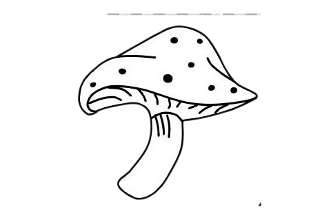 五款蘑菇兒童簡筆畫