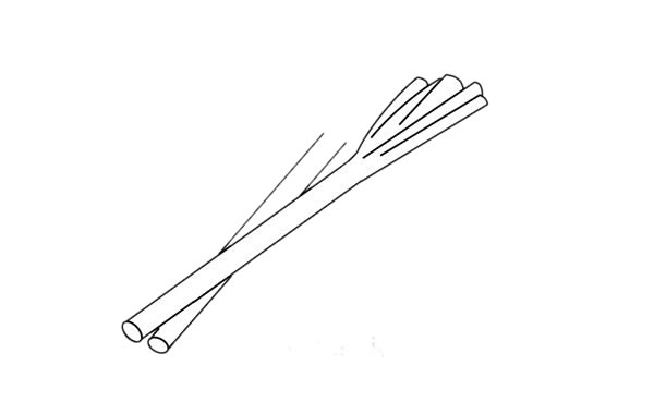 大蔥怎么畫(huà)簡(jiǎn)單又漂亮