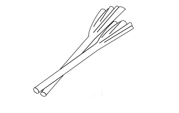 大蔥怎么畫(huà)簡(jiǎn)單又漂亮