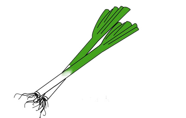 大蔥怎么畫(huà)簡(jiǎn)單又漂亮