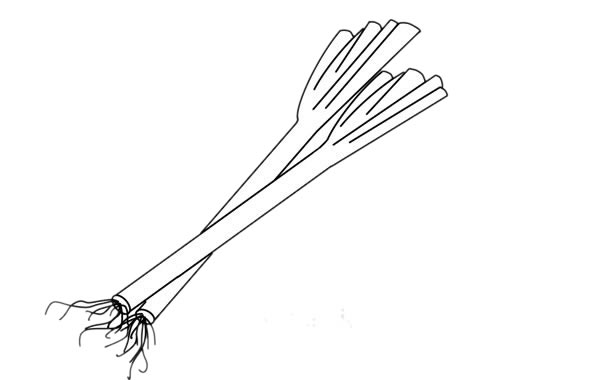 大蔥怎么畫(huà)簡(jiǎn)單又漂亮