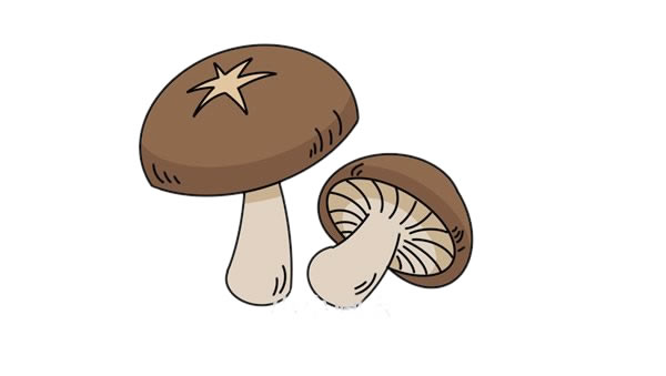 漂亮的香菇簡筆畫步驟