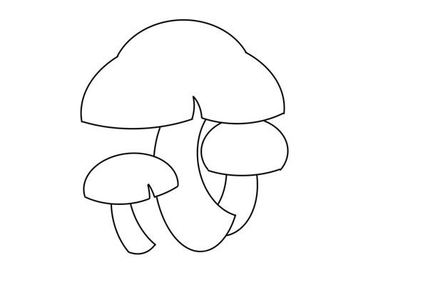 漂亮的三朵小蘑菇簡(jiǎn)筆畫