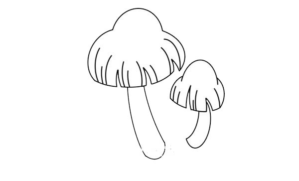 漂亮的傘狀蘑菇簡筆畫