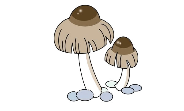漂亮的傘狀蘑菇簡筆畫