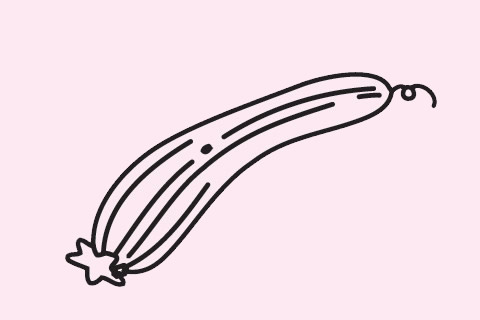 三張關(guān)于絲瓜的簡(jiǎn)筆畫 三張關(guān)于絲瓜的簡(jiǎn)筆畫