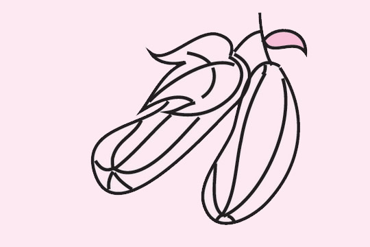 三張關(guān)于絲瓜的簡(jiǎn)筆畫 三張關(guān)于絲瓜的簡(jiǎn)筆畫